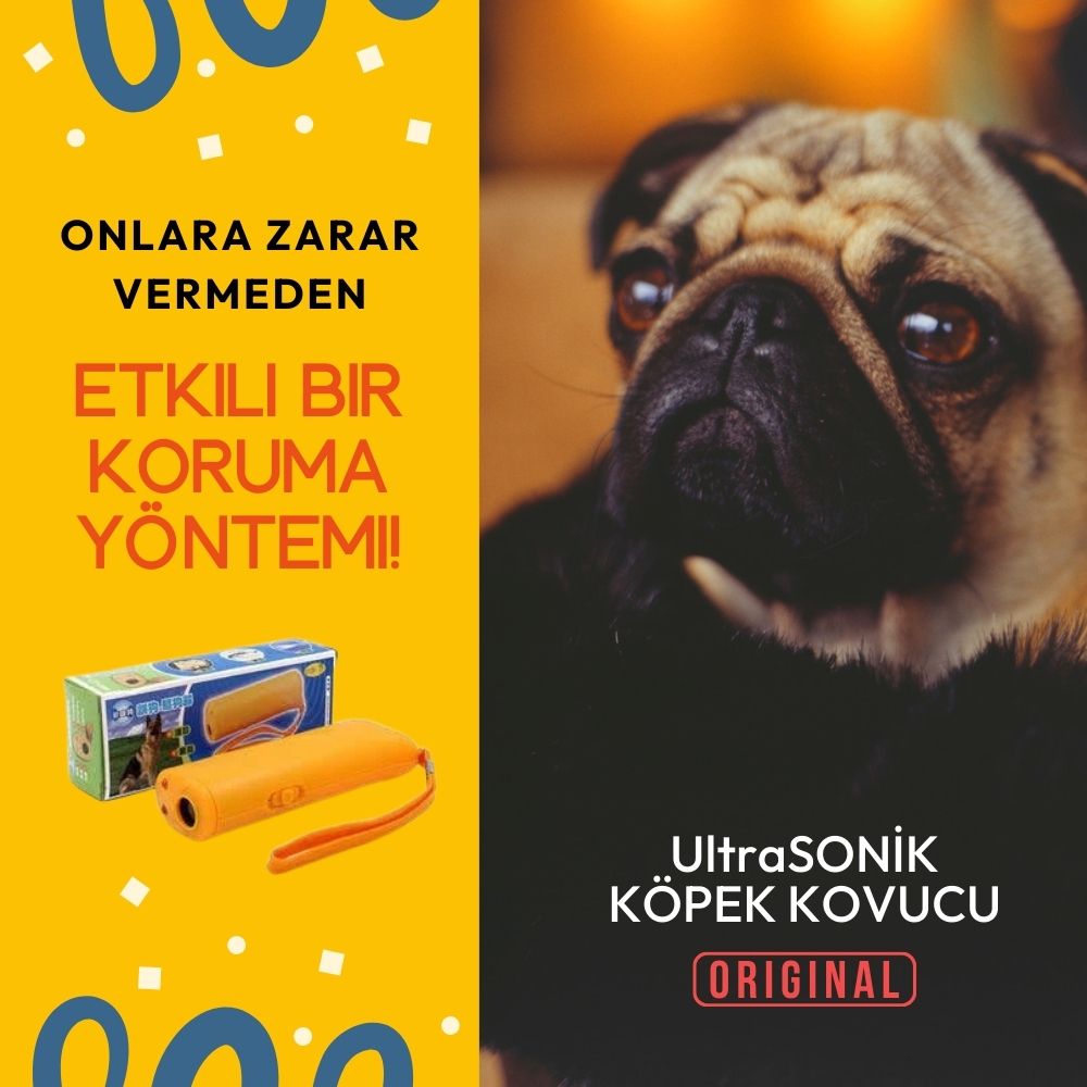 Köpek Eğitimi içinde Kullanılabilen Harika ürün